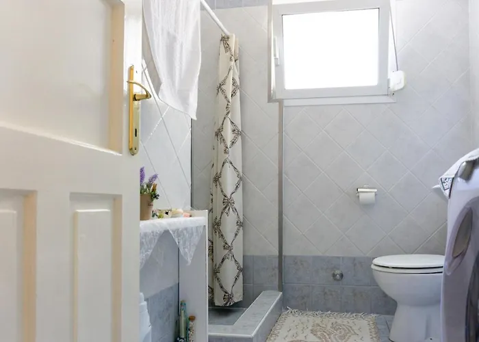 Irene Seafront 公寓 尼奥伊皮瓦太