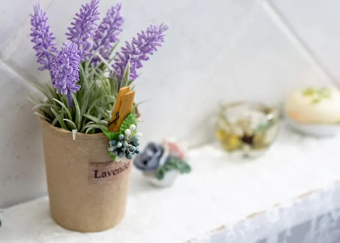 Irene Seafront * 尼奥伊皮瓦太