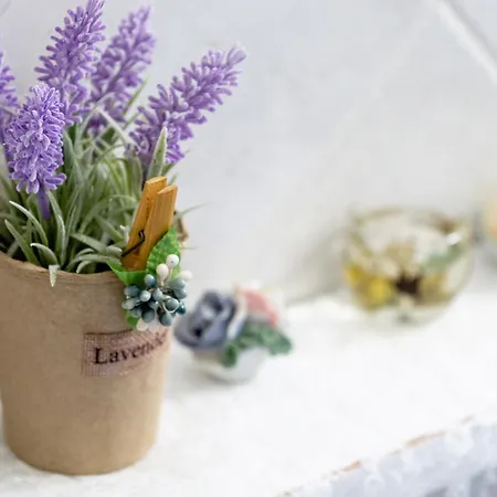 Irene Seafront * 네오이 에피바타이