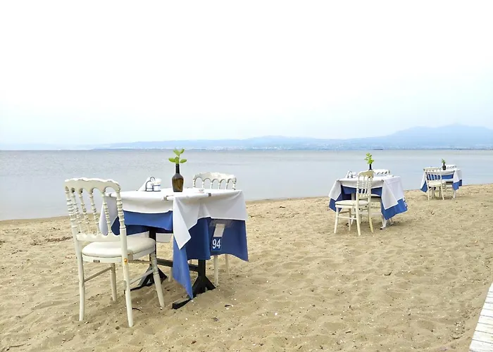 Irene Seafront Νέοι Επιβάτες